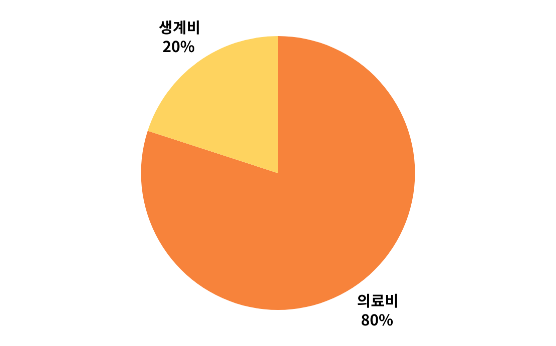 해나 후원금 사용 그래프